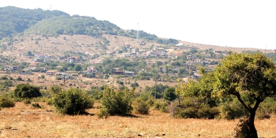 Emona