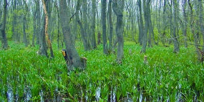 Kalinata Naturschutzgebiet
